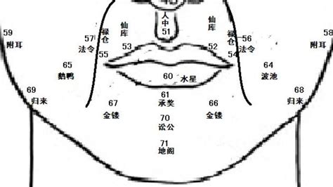 鼻挺 面相|麦玲玲面相讲座之 鼻子 – 人相学